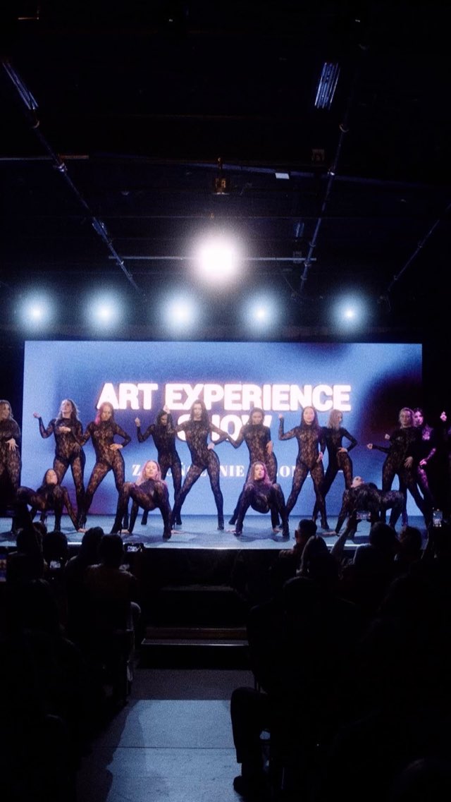 ART EXPERIENCE SHOW